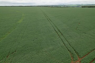 John Deere sprayer operating in a soybean field, aerial view