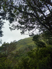 Obraz premium The journey to the summit of Mount Merbabu was greeted by rain, making the view foggy and a bit of a challenge when climbing.