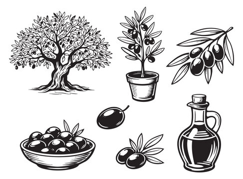 Hand drawn line art olive icons set featuring an olive tree, potted plant, branch, bowl of olives, and oil bottle for Mediterranean cuisine and food products