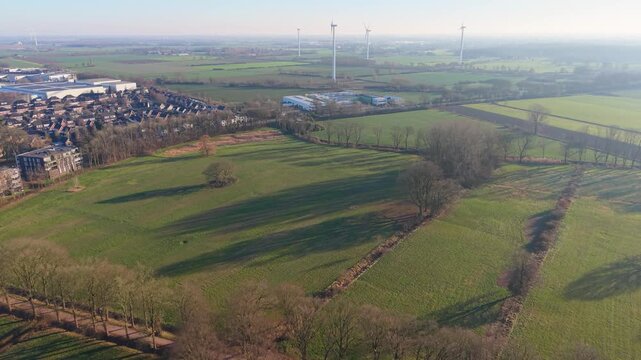 Aerial view of Dutch countryside diagonal tree lined road with long shadows, green fields, scattered homes, and distant wind turbines forming a calm, sustainable rural landscape.