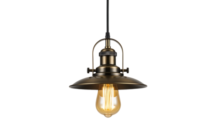 Vintage Industrial Pendant Light with Edison Bulb