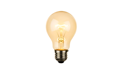 Bright Idea Illuminated Incandescent Light Bulb