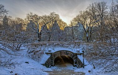 Central Park in winter , early morning after snowing