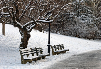 Central Park in winter , early morning after snowing