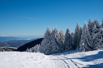 Beautiful winter landscape on Kopaonik in Serbia.
