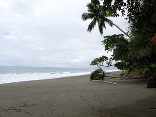 tide pools on tropical beach