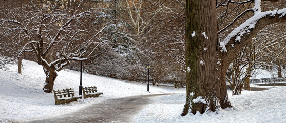 Central Park in winter , early morning after snowing