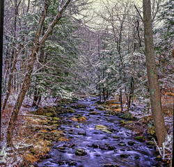 Harriman State Park, winter stream with snow