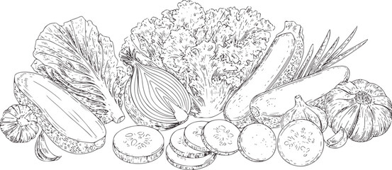Detailed black and line of various fresh vegetables arranged together lettuce onion