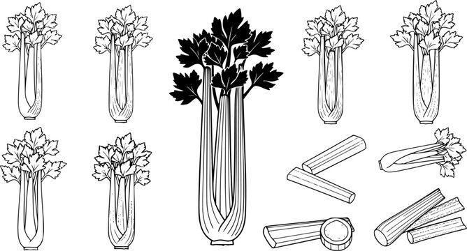 Different celery icon styles in black and white for design projects
