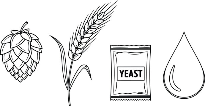 Outline illustration set of 4 beer brewing ingredients hops cone barley stalk yeast packet and water drop