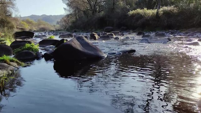The water flows through the river between the rocks with the reflection of the dawn sun on the water. River bed with low water level. View at ground level.