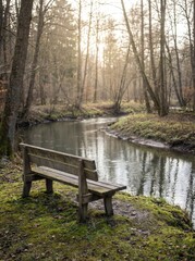 Empty wooden bench by a quiet forest river in soft sunlight