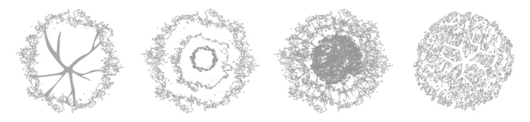 CAD Tree Top View Blocks, Editable Canopy Trees for Landscape Site Plans