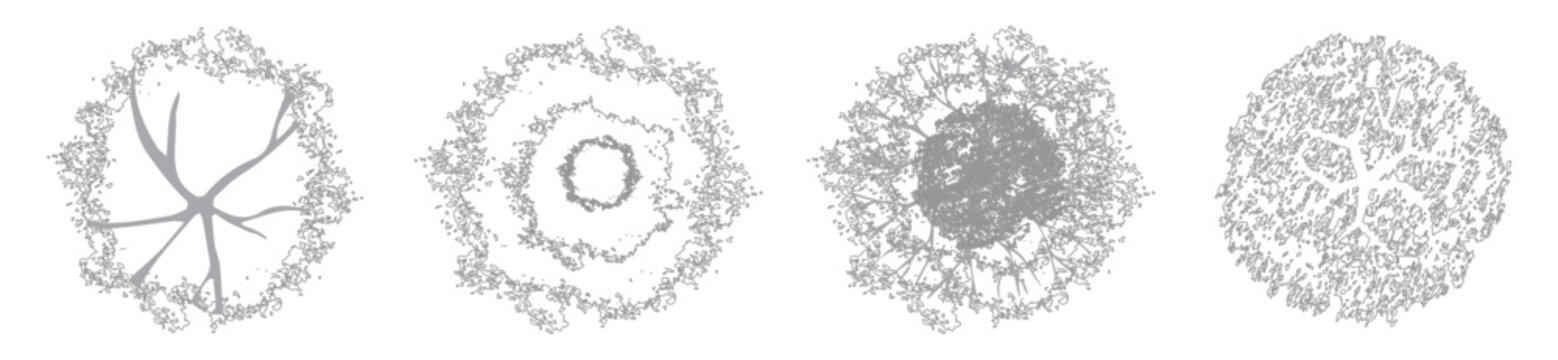 CAD Tree Top View Blocks, Editable Canopy Trees for Landscape Site Plans