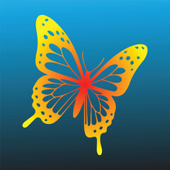 hjkli isolated on white background