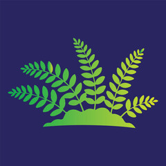 ii77t isolated on white background