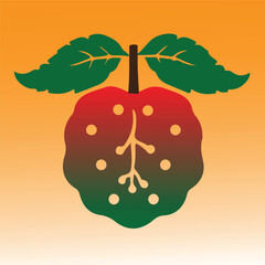 uin isolated on white background