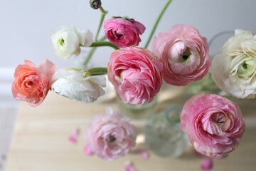 Fototapeta premium Beautiful fresh ranunculus flowers on table, closeup view