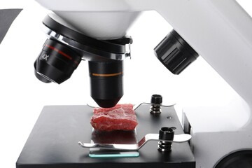 Piece of raw cultured meat under microscope on white background, closeup
