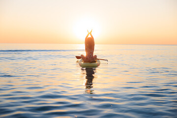 Young woman walking on stand up paddle sup boards by the sea during summer vacation