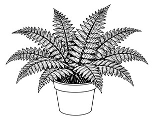 Line art illustration of a potted fern depicting lush foliage for botanical designs