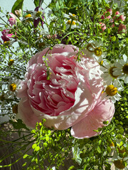 Pink peony and daisies creating a fresh bouquet