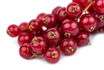 the fresh natural red currant fruits