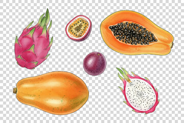 Tropical exotic fruits vector set including papaya, dragon fruit and passion fruit. Whole and sliced healthy organic food elements. Vibrant fruits collection isolated for menu design.