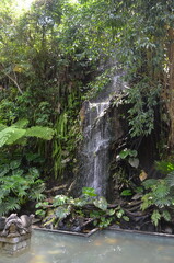 waterfall in the forest