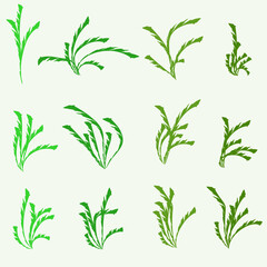 A set of multi-colored green grass stems gathered in bunches, isolated on a white background. Vector illustration for your designs in a naturalistic style.