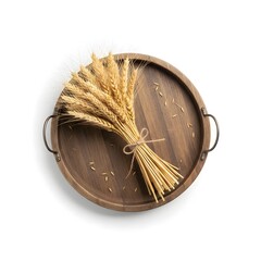 wheat ears on white background