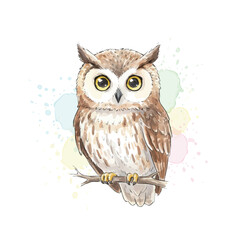 Obraz premium Watercolor owl design