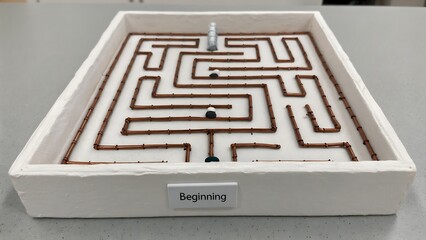Intricate Maze Puzzle Game with Ball Bearing and Beginning Label.
