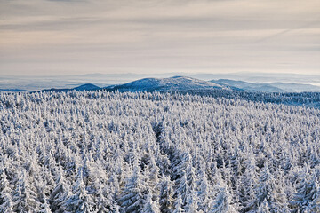 Polish mountains (Góry Sowie) covered by the snow. View from Wielka Sowa mountain    © Jakub