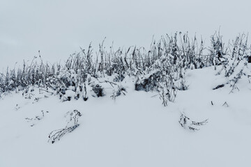 A fence by the former Skreiabanen Railroad, Toten, Norway, January 2026.