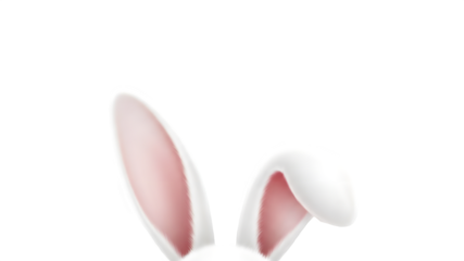 Isolated white rabbit ears on transparent background for easter designs