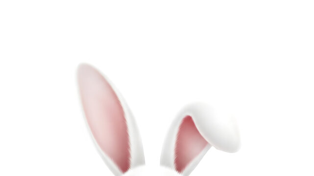Isolated white rabbit ears on transparent background for easter designs