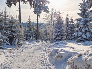 Polish mountains (Góry Sowie) covered by the snow  © Jakub
