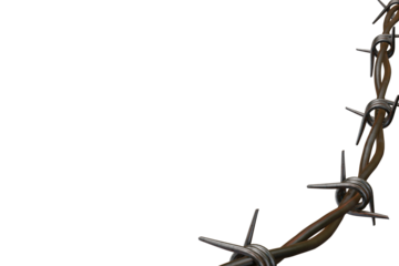 Curved Strand of Old Rusty Barbed Wire Isolated on White Background with Copy Space