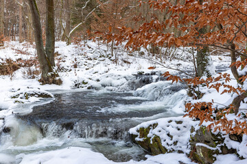 Flusslandschaft Selketal Selke im Winter