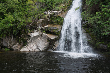 waterfall in the forest