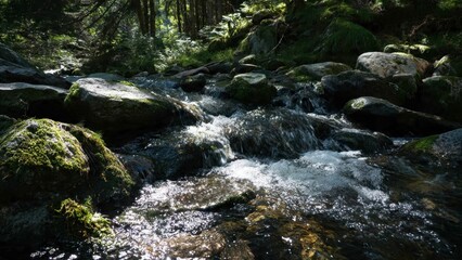 Mountain Stream Flowing Over Mossy Rocks