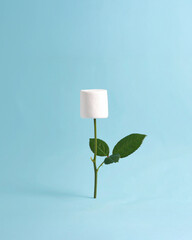 Creative conceptual photography that juxtaposes a natural plant stem and leaves with a white marshmallow in the place of a flower head.