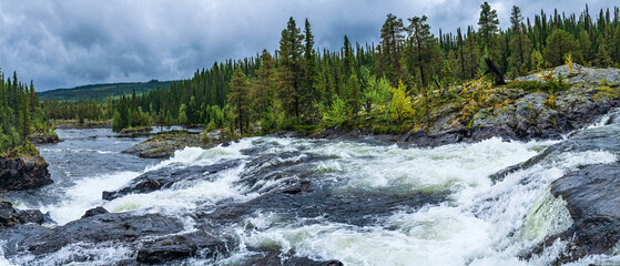 Lapland river flowing through northern forest landscape