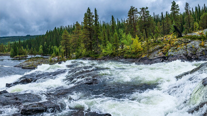 Lapland river flowing through rocky terrain and forest