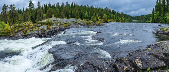 Lapland landscape featuring river rapids and a boreal forest