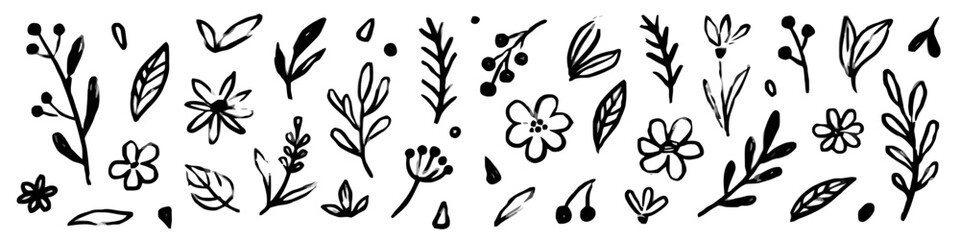 Set of hand drawn doodle floral vector stock illustration sketch of plants flowers branch and leaves element decorative ornament isolated on white background for decoration or frame © Baizid