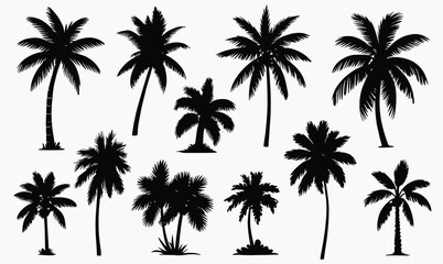 Fototapeta premium Collection of black silhouette palm trees on white background