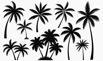 Obraz premium Collection of various palm tree silhouettes
